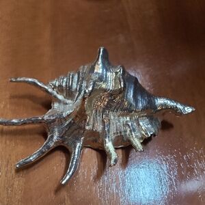 Silver plated shell